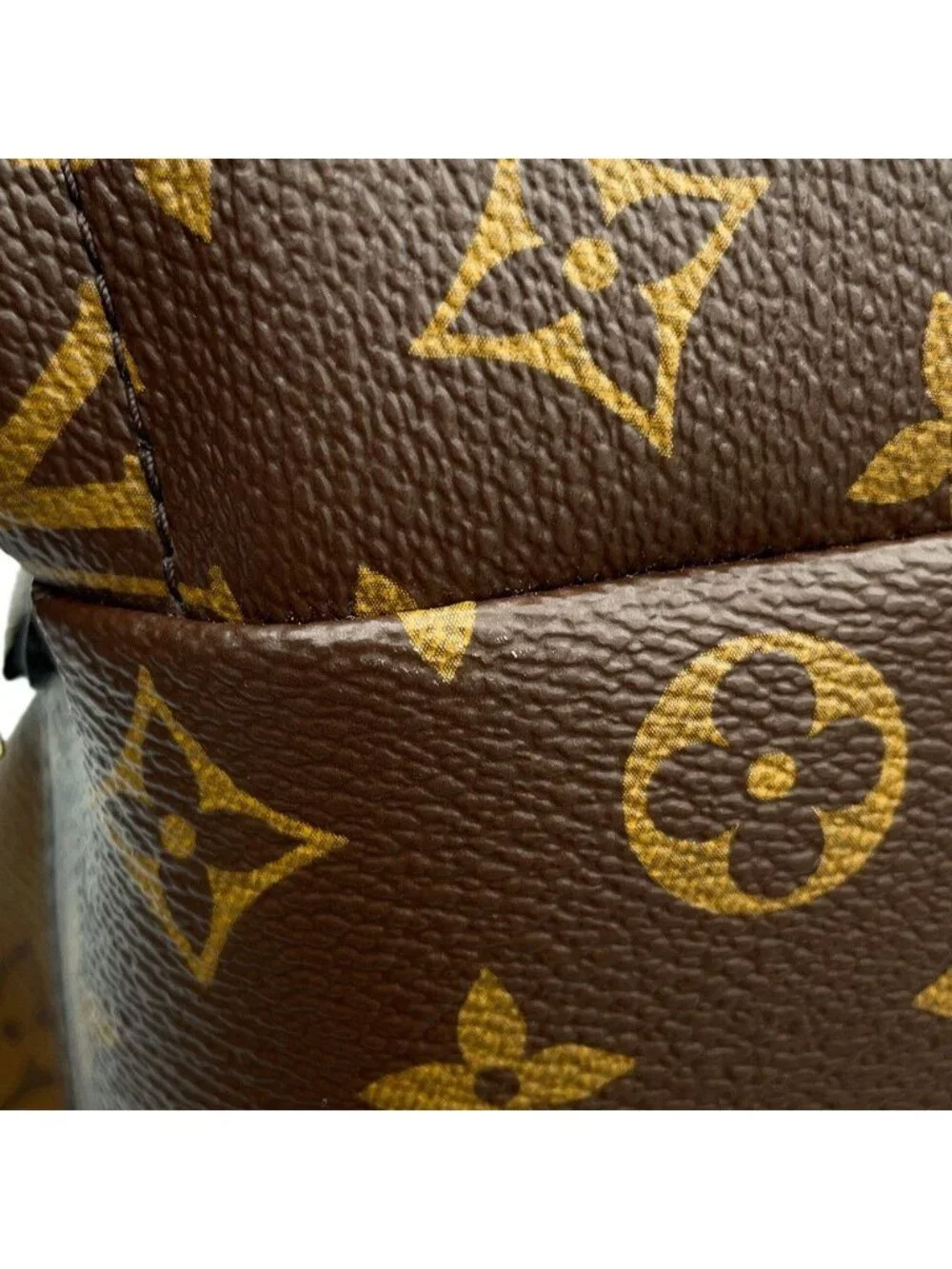 Louis Vuitton Backpack Monogram Reverse Palm Springs PM Black